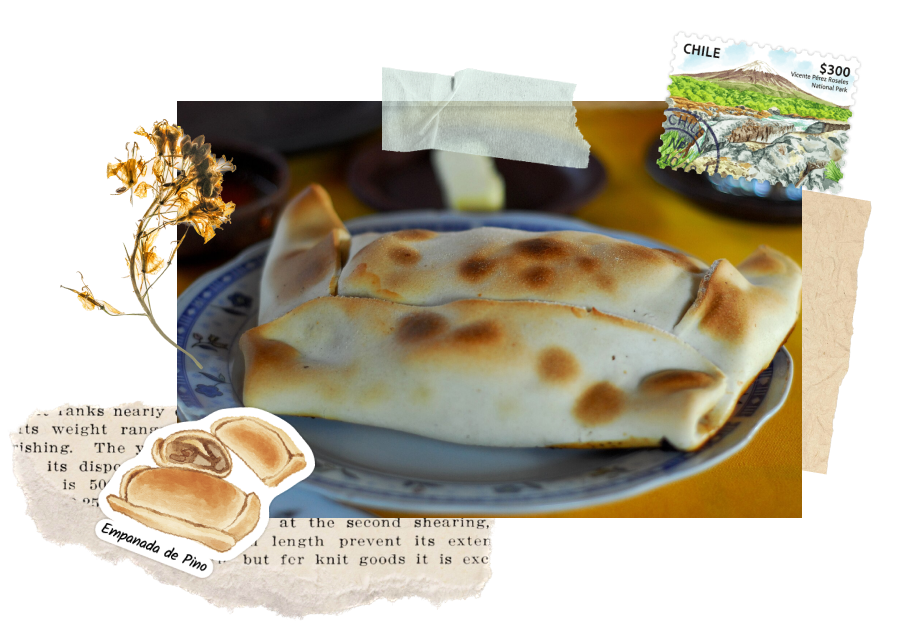 Empanada de Pino in Chile. Featuring the sticker from Navy Peony.