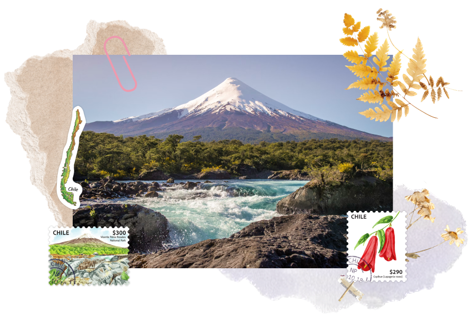Vicente P&eacute;rez Rosales National Park in Chile. Featuring the sticker from Navy Peony.