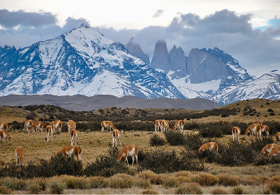 Torres del Paine National Park in Chile. Watch how the environment changes within a short distance. Dry steppe gives way to forest, glacial water, and bare granite, all in one view.
