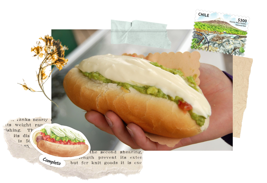 Completo in Chile. Featuring the sticker from Navy Peony.