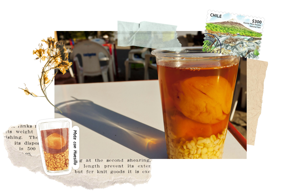 Mote con Huesillo in Chile. Featuring the sticker from Navy Peony.